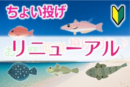 【mixhost へサーバー変更】ホームページのプチリニューアルとSSL（暗号化通信）化を行いました。