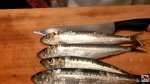 鰯（いわし）のさばき方動画～手捌きと包丁捌き・お刺身・盛り付けまで～