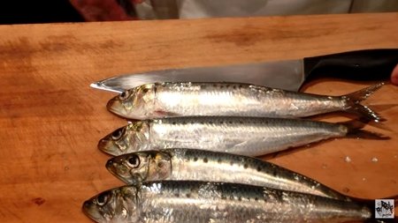 鰯（いわし）のさばき方動画～手捌きと包丁捌き・お刺身・盛り付けまで～