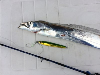 【Q&A】タチウオジギングのタックルと仕掛けを詳しく教えてください。