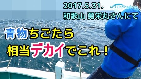 【初心者でも釣れる！】落とし込みサビキ釣りで高級五目釣り！～ブリ・マダイ・ヒラメ～＠和歌山 勇栄丸 さん