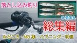 落とし込みサビキ釣り【総集編 】ヒットシーンまとめ ＆ NG集・ハプニング映像・神経じめの方法とやり方・ブリを料理して造りとしゃぶしゃぶで頂きます！＠ 和歌山 勇栄丸 ＆ 酒肴 えんや さん