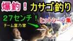 爆釣！夏の夜のカサゴ（ガシラ・アラカブ）釣り！ヒットシーン集！バスロッドで仕掛けはテキサスリグ（クローワーム・イカの切り身）です(^^)/ 