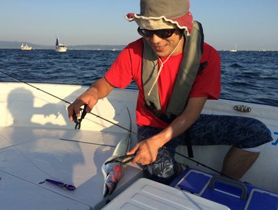 タチウオ釣り アンチョビミサイル 指５本サイズ