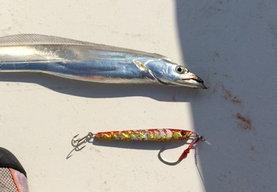 タチウオ釣り ジギング シャウトステイ（130g 赤キン）