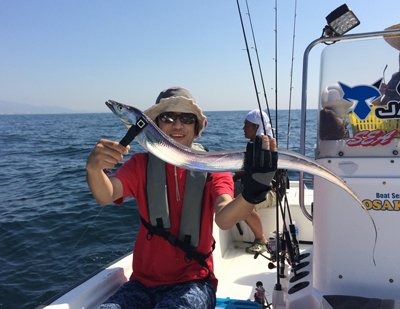 タチウオ釣り ジギング アンチョビミサイル 好調