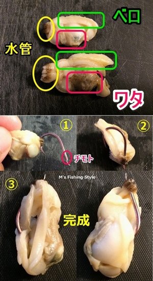 アサリのむき身 部位の名称と針の刺し方解説