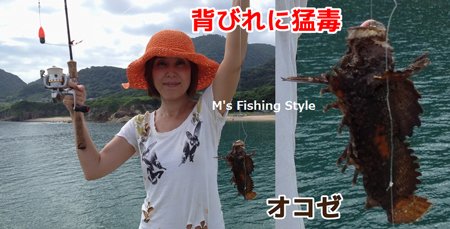 オコゼ 背びれに猛毒 毒魚・危険魚