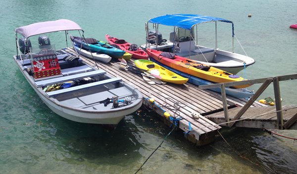 桟橋（潮位に合わせて稼働する）