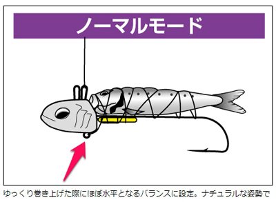 エサ用ワイヤー固定位置