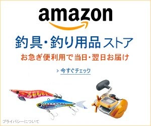 アマゾン釣りストア