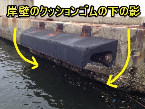 岸壁のクッションゴムの下の影