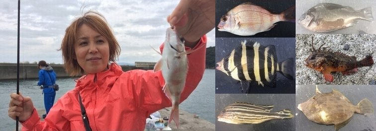 胴突き仕掛けの五目釣りで６種類の魚ゲット！