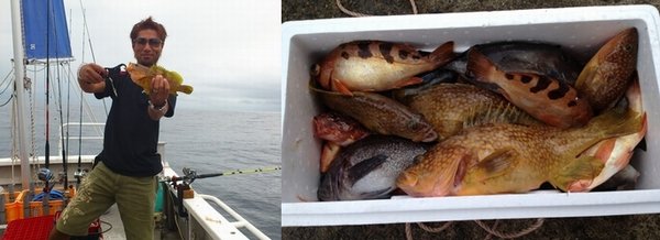 船五目でアコウゲット