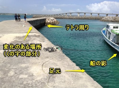 漁港のポイント