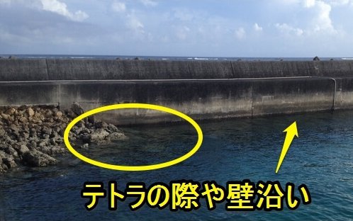 テトラの際や岸際のポイント