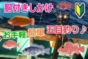 胴突き仕掛けで五目釣り